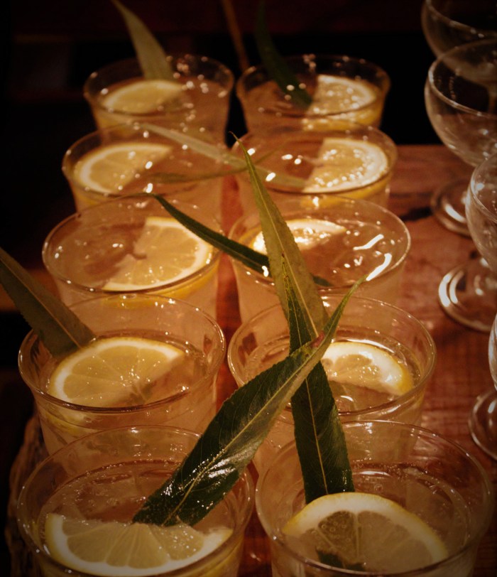 Gin and tonics made from foraged tonic water