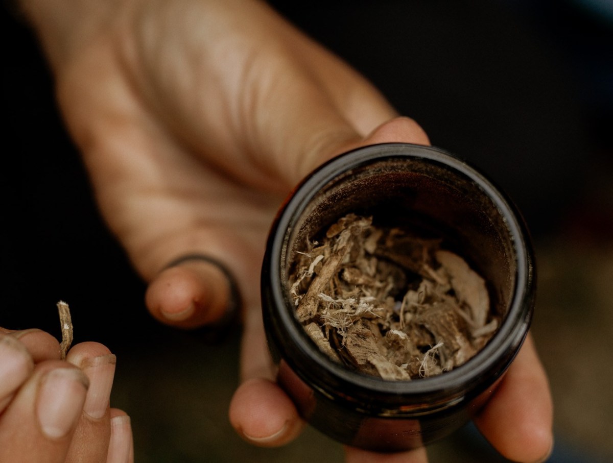 hands holding a glasss jar of dried plant